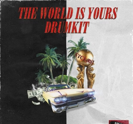 Nik D The World Is Yours Kit WAV